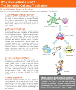 Thumbnail-Why does arthritis start - the dendritic cell and T cell story