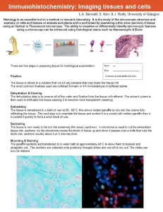 Thumbnail-Immunohistochemistry - imaging tissues and cells