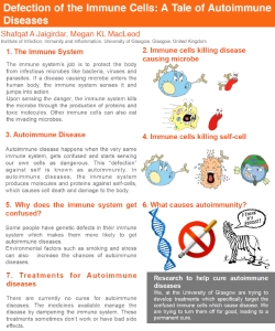 Thumbnail-Defection of the immune cells - a tale of autoimmune diseases