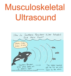 Thumbnail-Musculoskeletal ultrasound